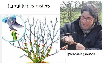 Formation faire soi-même JARDINAGE