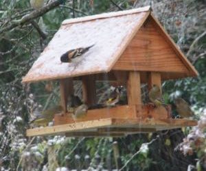 [Pour les ados] Atelier Mangeoire avec “Sur Nos Pas”